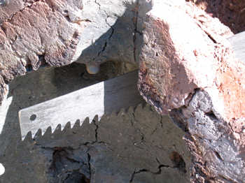 9. Close up of the saw!.
