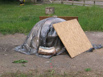 1. June 2005: temporary covering after removing the shelter.