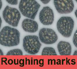 Surface of plate showing roughing marks