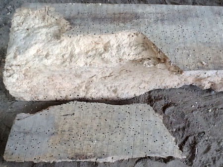 A section of Beech wood showing the extent of the woodworm damage